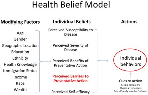 6 stages of health belief model jackpot