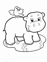 Coloring Pages Zoo Print Babies Search Hippo Again Bar Case Looking Don Use Find sketch template