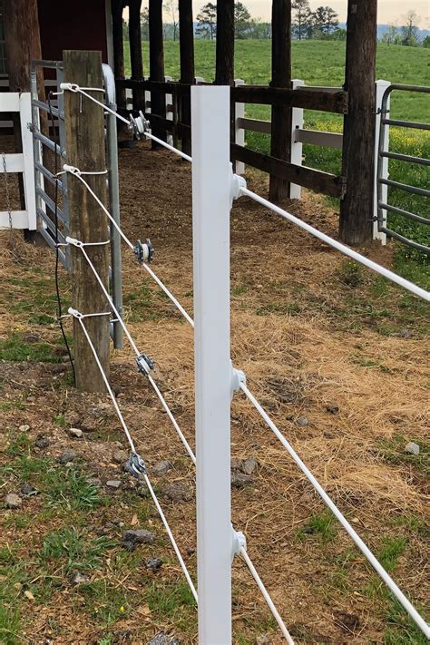 post sleeves  year warranty livestock fence  post fence dog fence