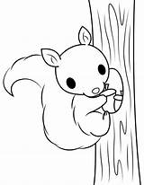Coloring Squirrel Tree Baby Climbing Pages Printable sketch template