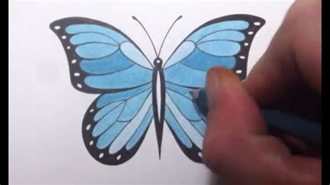 draw  butterfly viyoutube