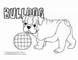 Coloring Bulldog Pages Dog Cute Drawing Boxer Puppy French Breed Bulldogs American Color Dogs Puppies Colouring Printable English Sheets Hard sketch template
