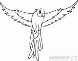 Parrot Outline Clipart Wings Open Drawing Flying Green Animals Raven Scenery Clip Drawings Printable Getdrawings Paintingvalley Library sketch template