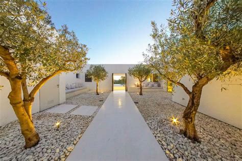 luxurious contemporary property  ibiza mediterranean garden