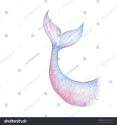 Mermaid Tail Illustration Watercolor Painting Element Stock