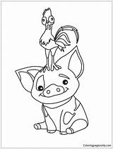 Moana Pig Pages Pua Coloring Color Hei Disney Baby Cute Sketch Template Coloringpagesonly sketch template