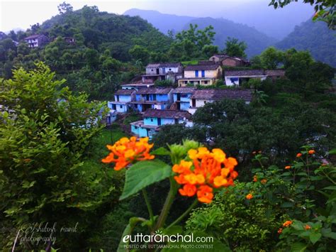 village  nature combine   beauty uttarakhand