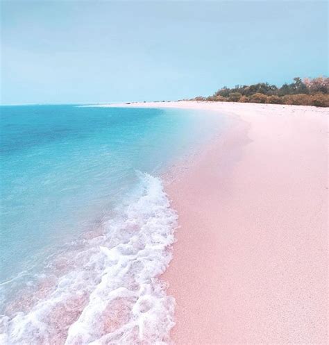 pink sand  crystal clear waters  comiran island palawan