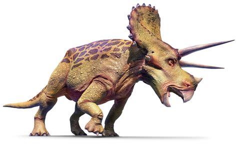 triceratops triceratops facts dk find