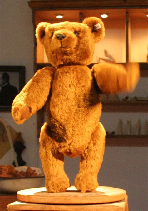 teddy bear wiktionary
