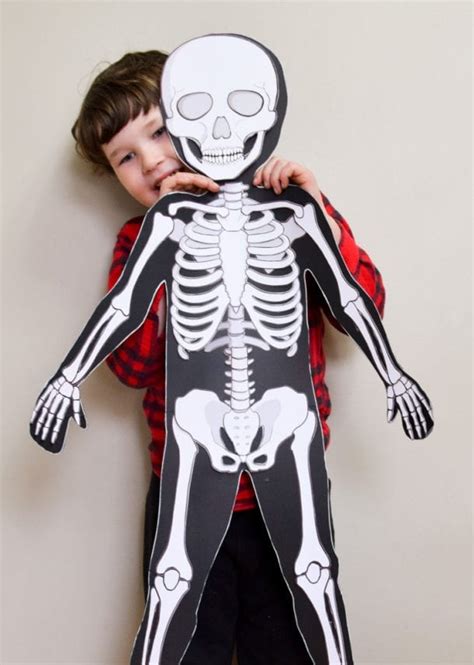 life size printable human skeleton  kids