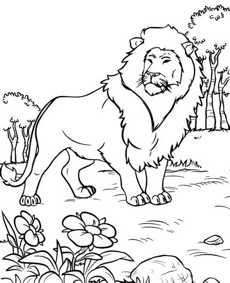 cute  easy lion coloring pages  kids mitraland