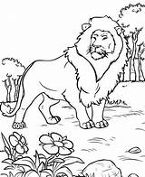 Lion Coloring Ages Mitraland sketch template