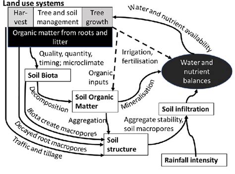 conceptual diagram  soil degradation  restoration caused