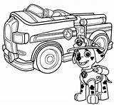 Marshall Patrol Paw Coloring Pages Posing Print Printable Kids Version sketch template