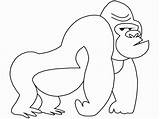 Ape Gorilla Bestcoloringpagesforkids Apes sketch template