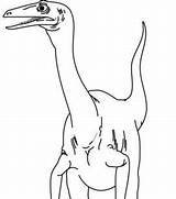 Coelurus Dinosaurs Genus Tsgos sketch template