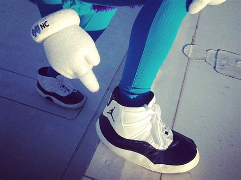 charlotte hornets mascot hugo creates a buzz with concord 11s