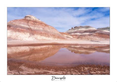 heading  utah  creative adventure photography  denise ippolito