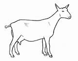 Goats Quoteko sketch template
