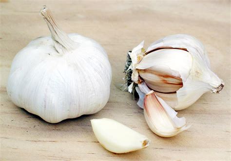 garlic     health