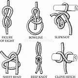 Knots Hitches Nodi Ropes Vettoriale sketch template