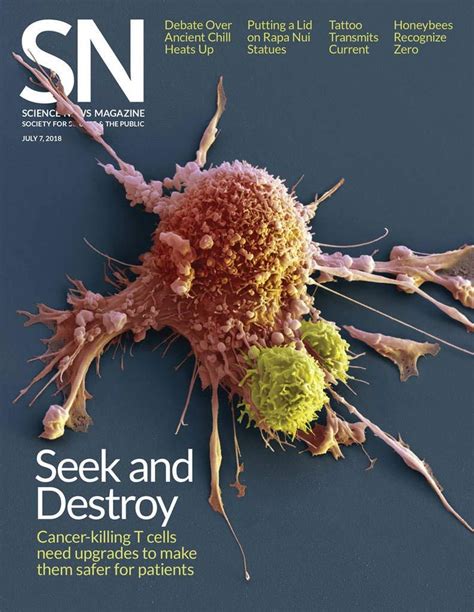 science news magazine subscription discount  society  science