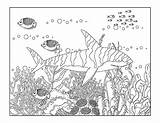Shark Giftofcuriosity sketch template
