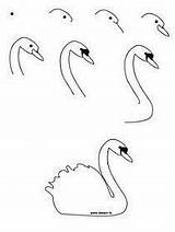 Zeichnen Nachzeichnen Swan Cygne Realistic Schwan Coloriage Dessiner Lernen Anfänger Leichte Zeichnung Anfanger Disegnare Princesse Tracing Einfache Anleitung Animale Techniques sketch template