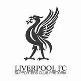 Liverbird Lfc Badge Crests Reds Freevectorlogo Brandslogo Worldsoccerpins 1987 sketch template