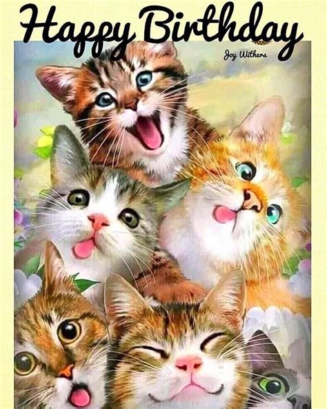 cute cat birthday cards beyonce birthday card