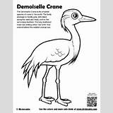 Crane Siberian Designlooter sketch template