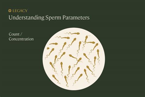 guide to sperm testing and semen analysis legacy