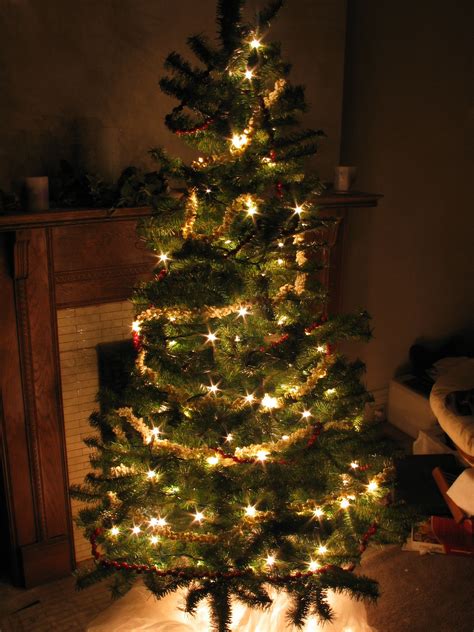 filechristmas tree  nightjpg