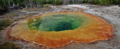 Yellowstone National Park Man Who Dissolved In Acidic Pool Wanted A