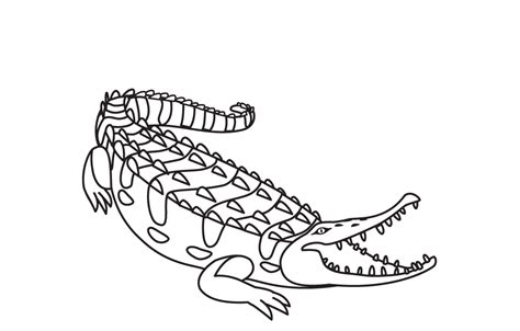 images  alligator template printable cartoon alligator