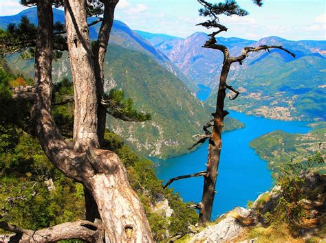 nacionalni park drina upoznajte najmladi nacionalni park  bih