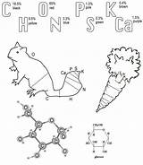 Found 保存 Biologycorner sketch template