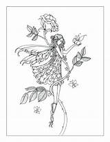 Coloring Pages Fairy Harrison Molly Intricate Printable Adult Books Colorear Colouring Fairies Getcolorings Rose Sheets Template Mollyharrisonart sketch template