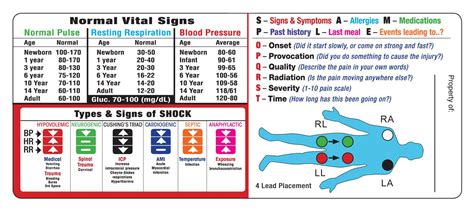 emt study vital signs emt basic