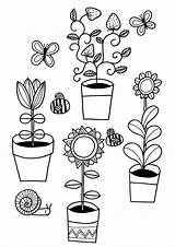 Plant Colouring Rhs Drawings sketch template