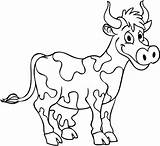 Coloring Smiling Cow Cows Pages Kidsplaycolor sketch template