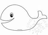 Whale Template Baby Shower Coloring Animal Coloringpage Eu Cartoon sketch template