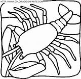 Aragosta Colorat Homar Desene Schalentiere Aragoste Colorare Crostacei Pesci Langostas Insecte Planse Paginas Malvorlage Kategorien Disegnidacoloraregratis Disegni sketch template