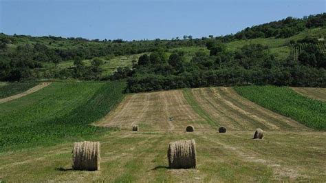 romania  au facut retrocedari de terenuri agricole la limita legalitatii iata raspunsul