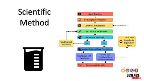scientific method steps worksheets