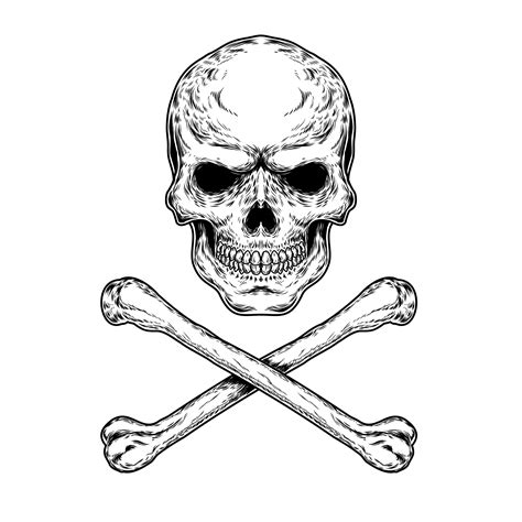 vector illustration   skull  crossbones   vectors clipart graphics vector art