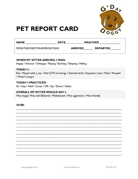 pet boarding report card arts arts