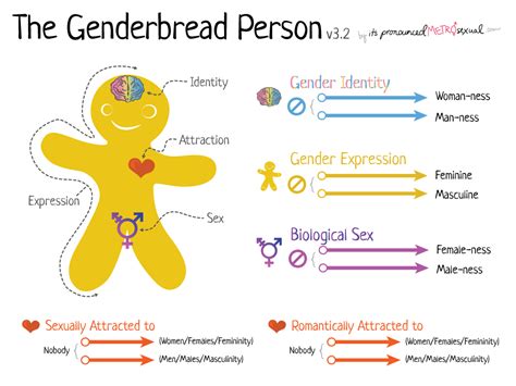 The Genderbread Person V3 It S Pronounced Metrosexual