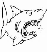 Shark Coloring Pages Sharks Kids Drawing Jaws Chibi Great Hungry Color Funny Print Jaw Outline Children Template Printable Hammerhead Getdrawings sketch template